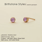 Stainless Steel Birthstone Earrings